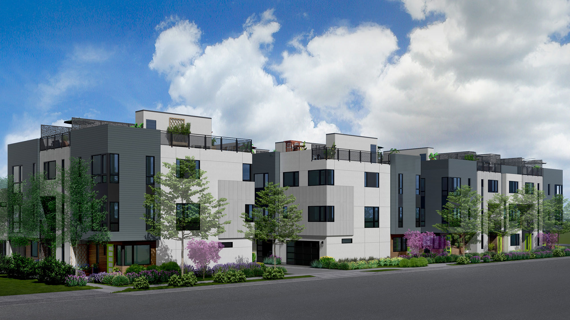 Acacia by Dividend Homes Exterior Rendering