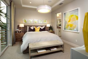 Plan 1X: Master Bedroom